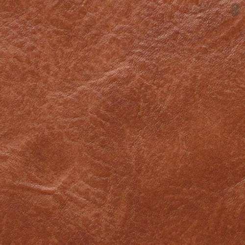 Ida™